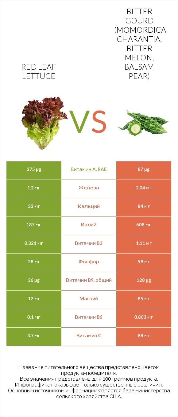 Red leaf lettuce vs Bitter gourd (Momordica charantia, bitter melon, balsam pear) infographic