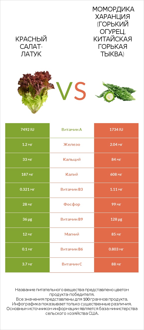 Red leaf lettuce vs Bitter gourd (Momordica charantia, bitter melon, balsam pear) infographic