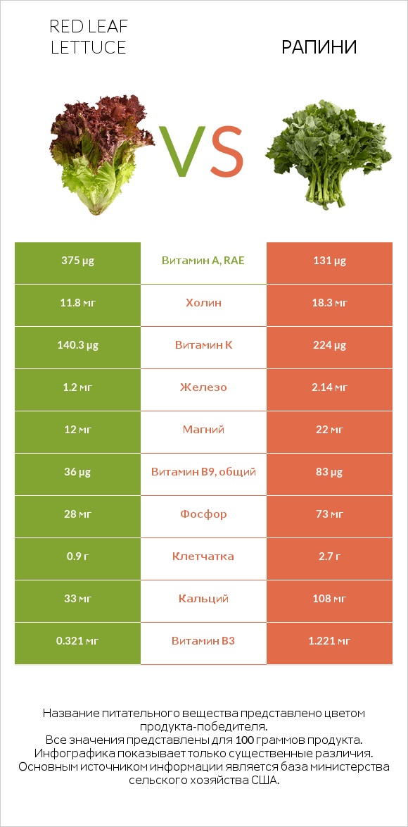 Red leaf lettuce vs Рапини infographic