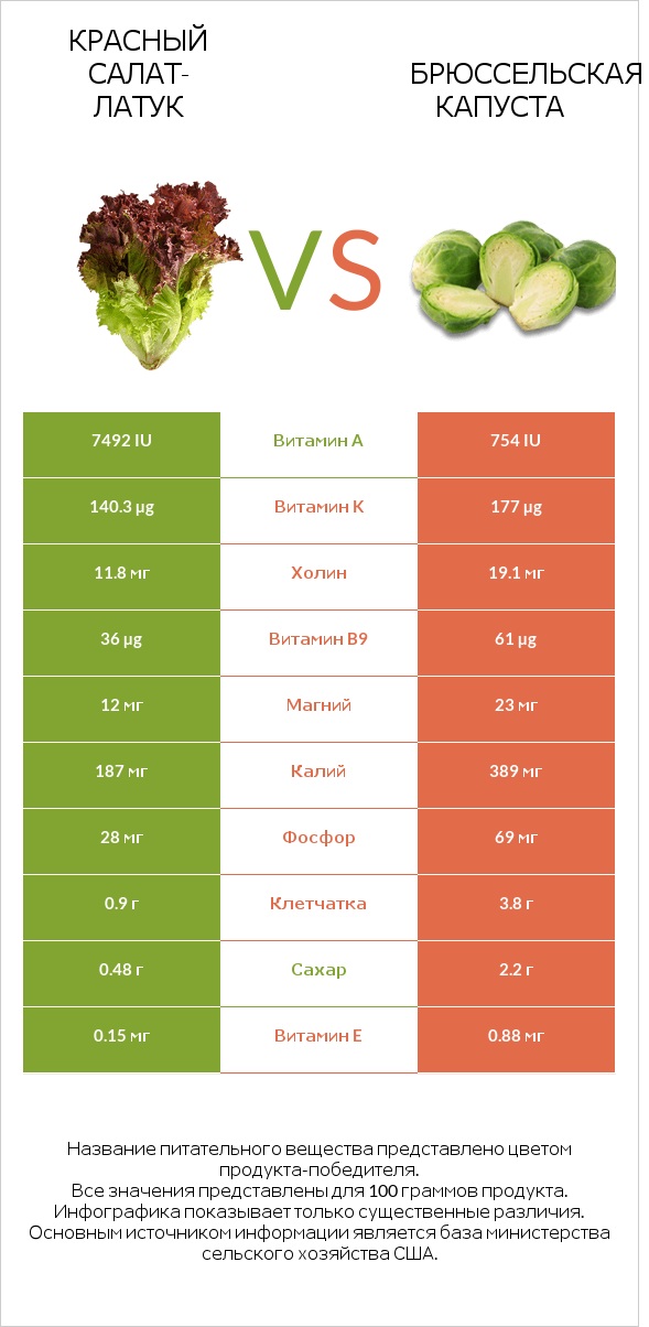 Red leaf lettuce vs Брюссельская капуста infographic