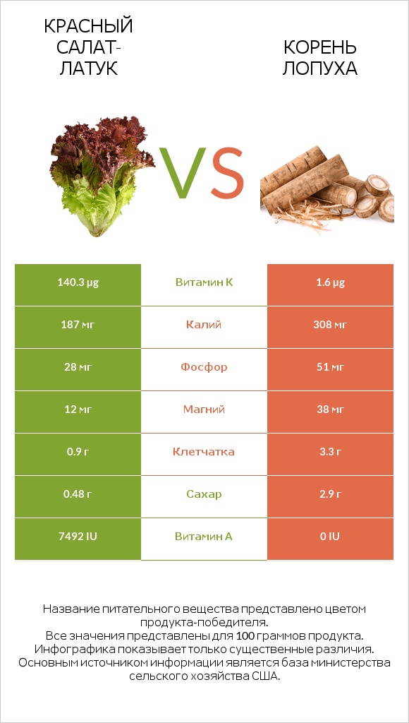 Красный салат-латук  vs Корень лопуха infographic