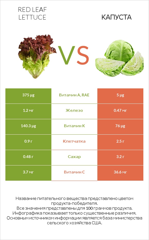 Red leaf lettuce vs Капуста infographic