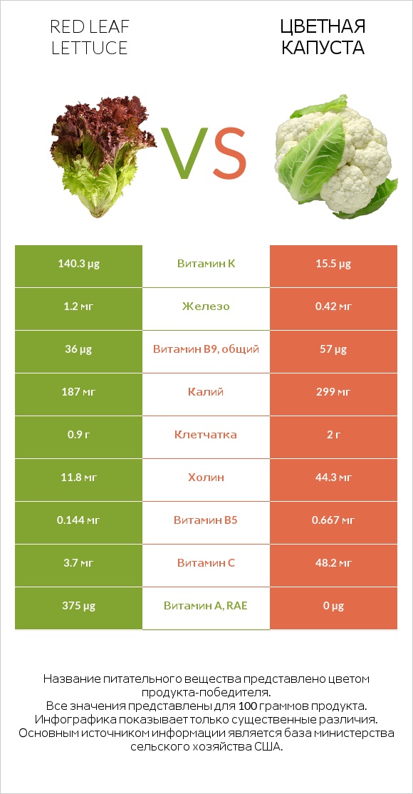 Red leaf lettuce vs Цветная капуста infographic