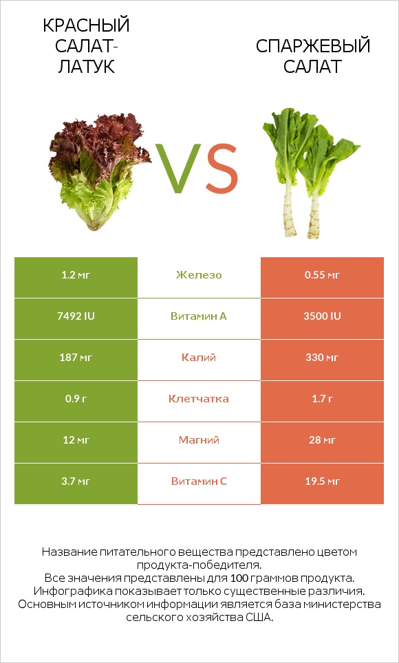 Red leaf lettuce vs Celtuce infographic