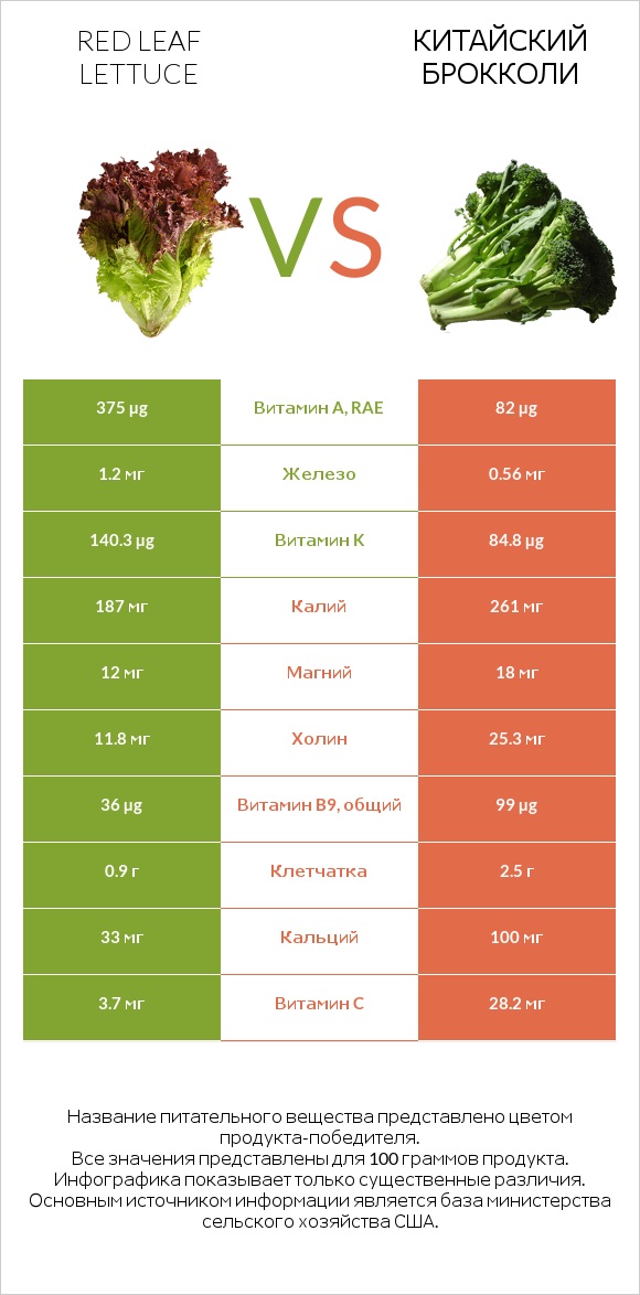 Red leaf lettuce vs Китайский брокколи infographic