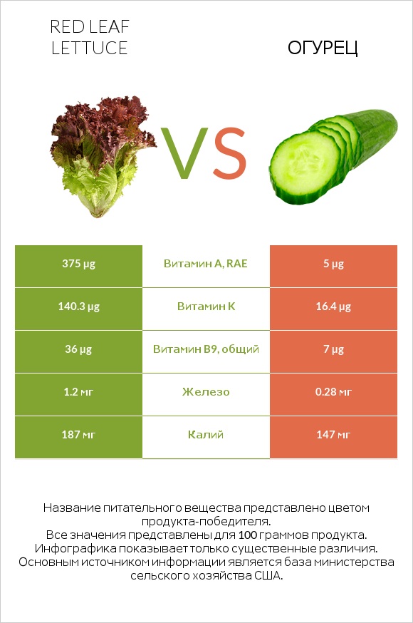 Red leaf lettuce vs Огурец infographic