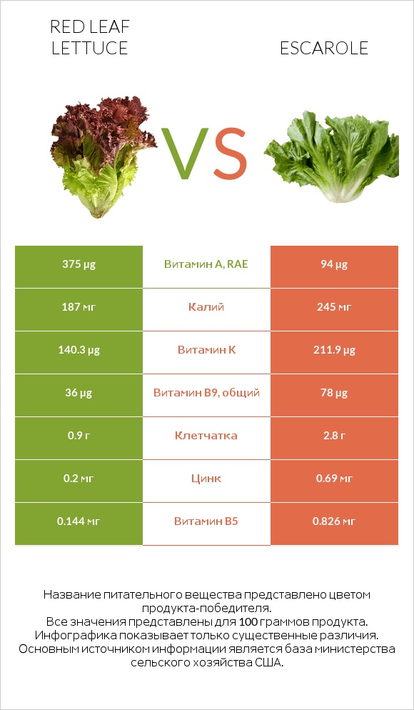 Red leaf lettuce vs Escarole infographic