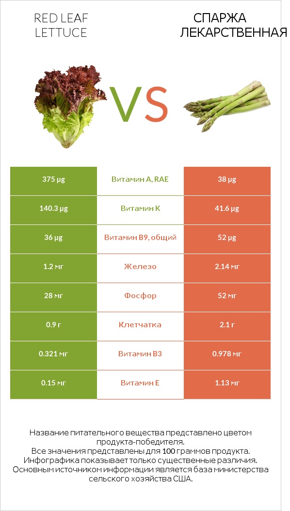 Red leaf lettuce vs Спаржа лекарственная infographic