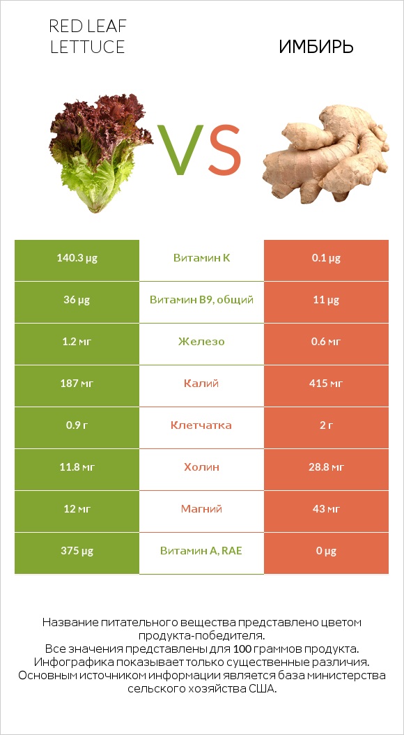 Red leaf lettuce vs Имбирь infographic