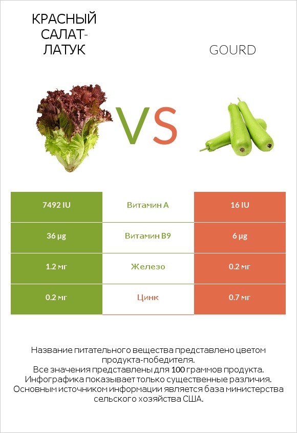 Красный салат-латук vs Gourd infographic