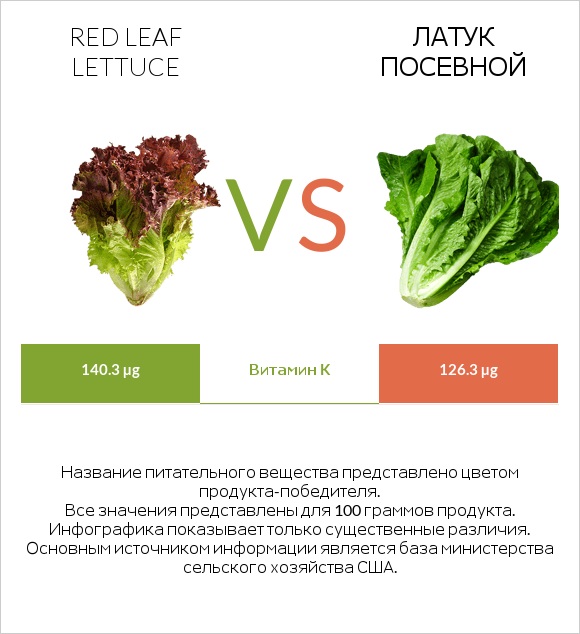Red leaf lettuce vs Латук посевной infographic