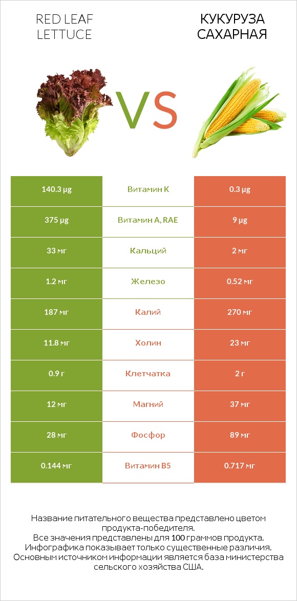 Red leaf lettuce vs Кукуруза сахарная infographic