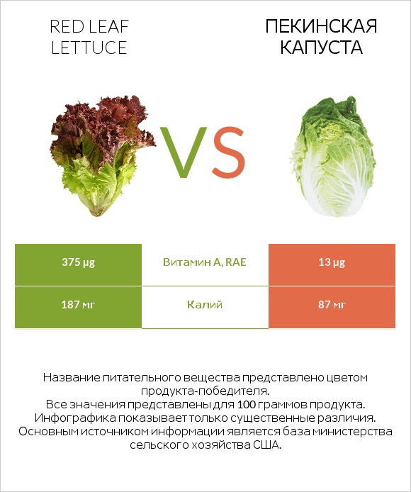 Red leaf lettuce vs Пекинская капуста infographic