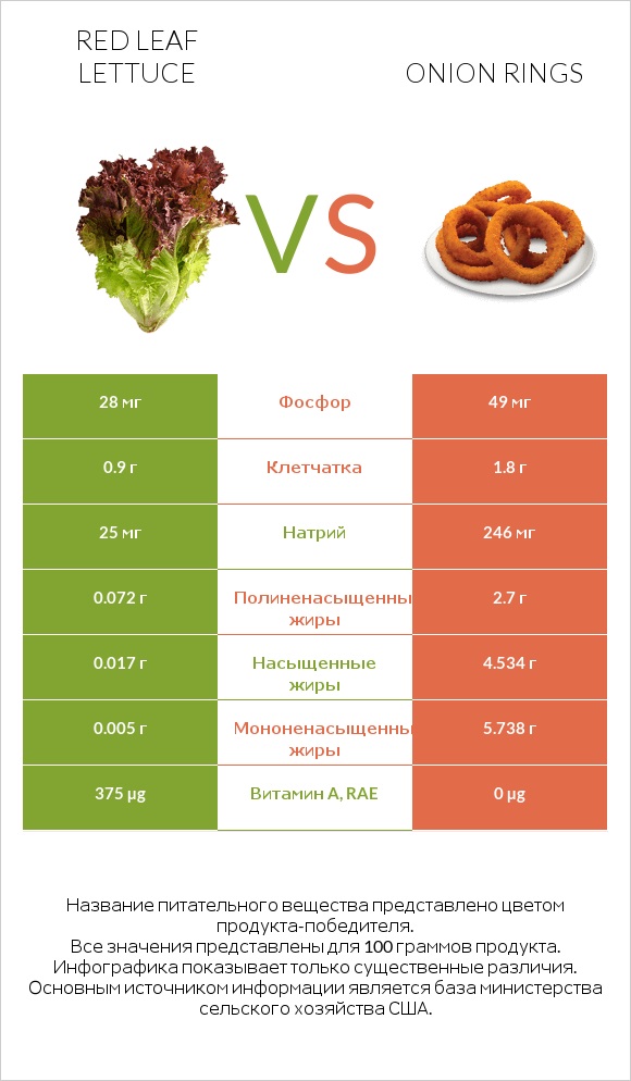 Red leaf lettuce vs Onion rings infographic