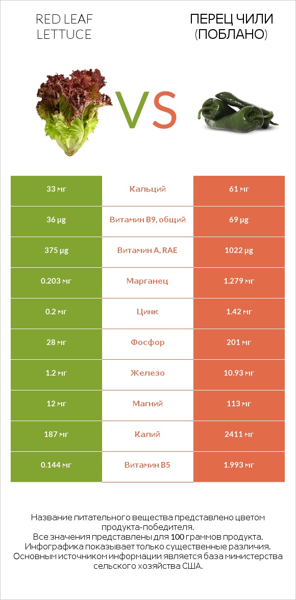 Red leaf lettuce vs Перец чили (поблано)  infographic