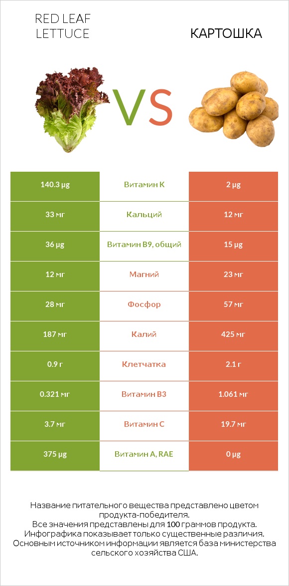 Red leaf lettuce vs Картошка infographic