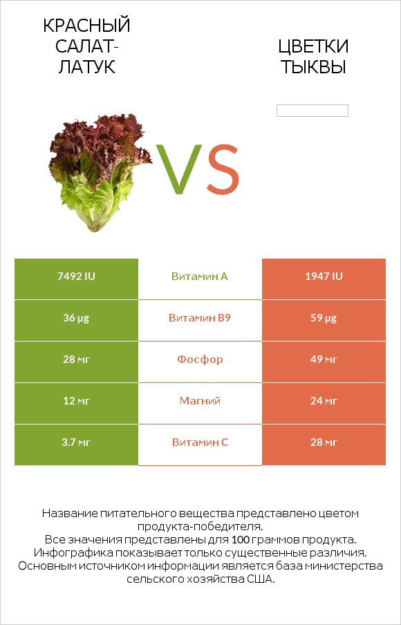 Red leaf lettuce vs Pumpkin flowers infographic