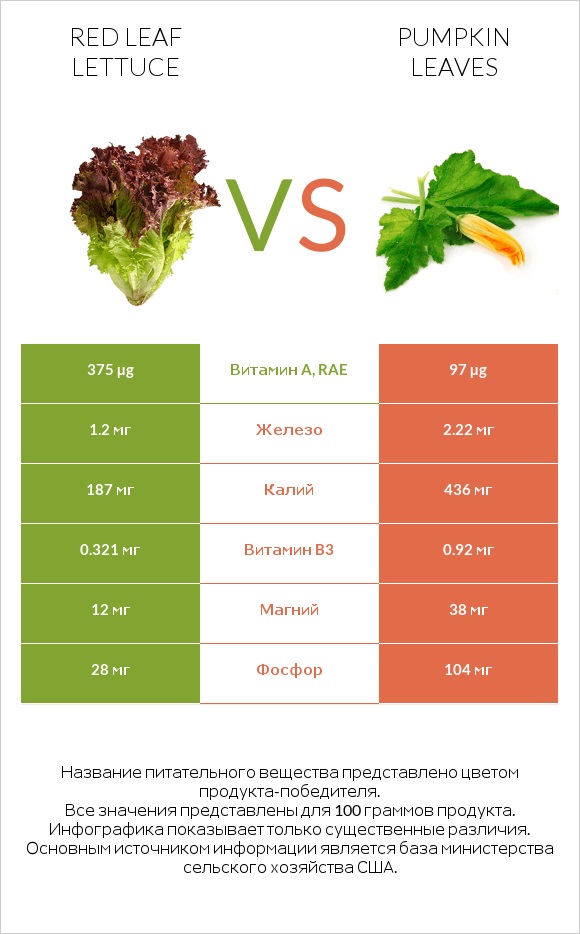 Red leaf lettuce vs Pumpkin leaves infographic