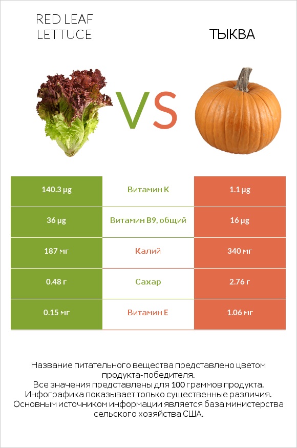 Red leaf lettuce vs Тыква infographic