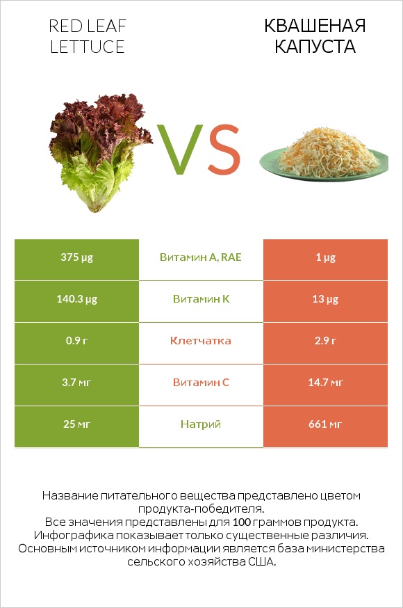 Red leaf lettuce vs Квашеная капуста infographic