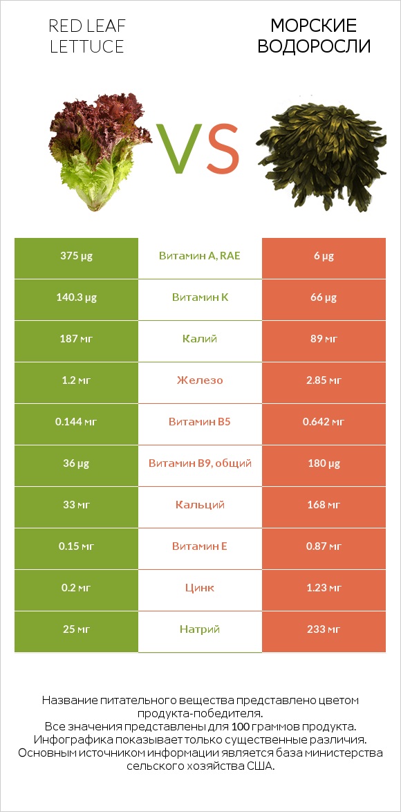 Red leaf lettuce vs Морские водоросли infographic