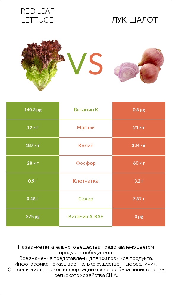 Red leaf lettuce vs Лук-шалот infographic