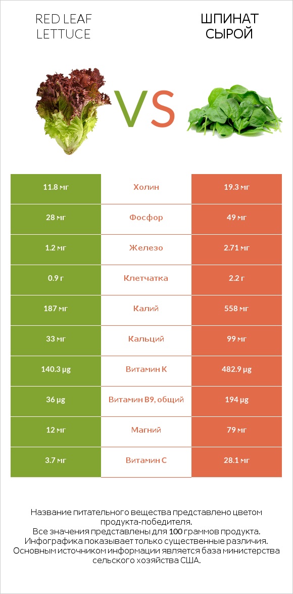 Red leaf lettuce vs Шпинат сырой infographic