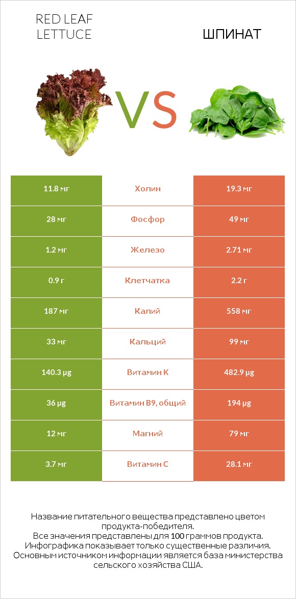 Red leaf lettuce vs Шпинат infographic