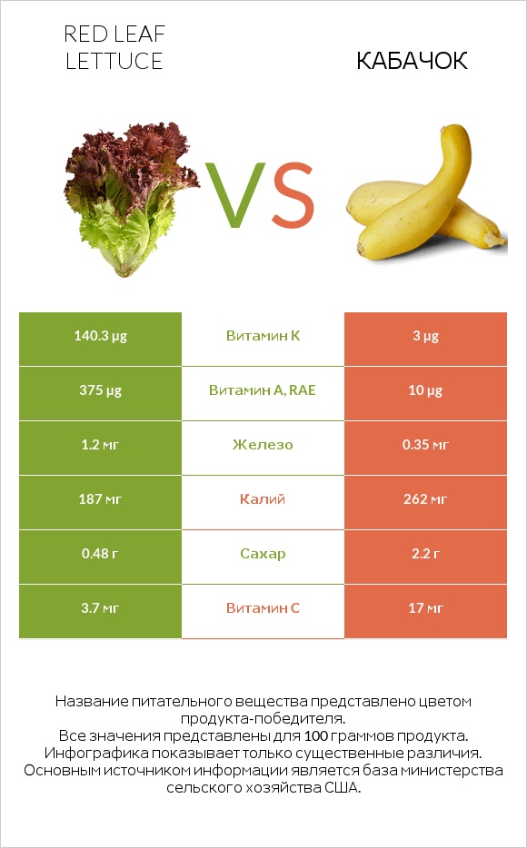 Red leaf lettuce vs Кабачок infographic