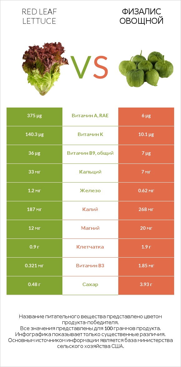 Red leaf lettuce vs Физалис овощной infographic