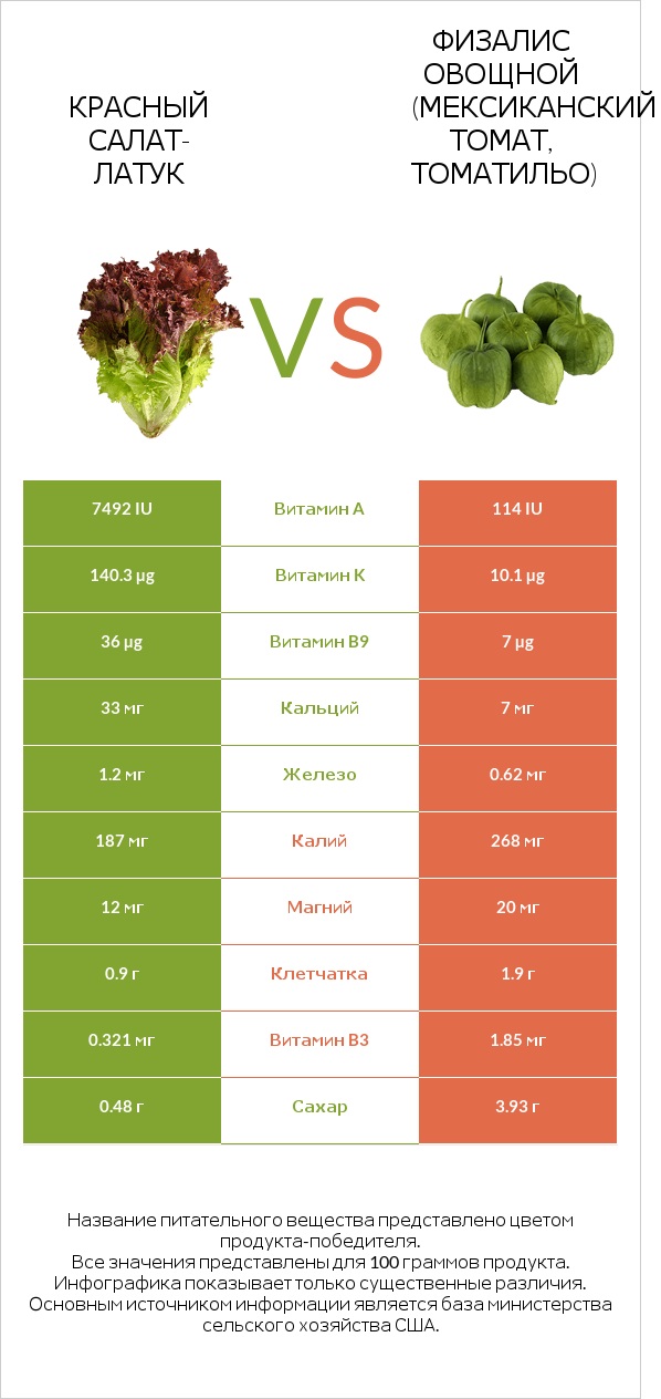 Red leaf lettuce vs Физалис овощной infographic