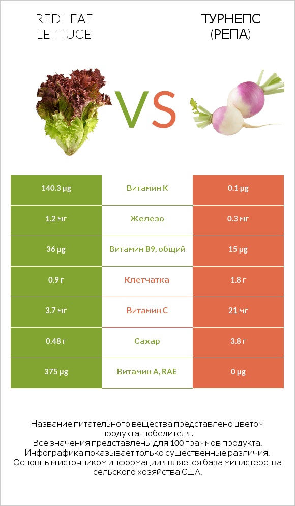 Red leaf lettuce vs Турнепс (репа) infographic
