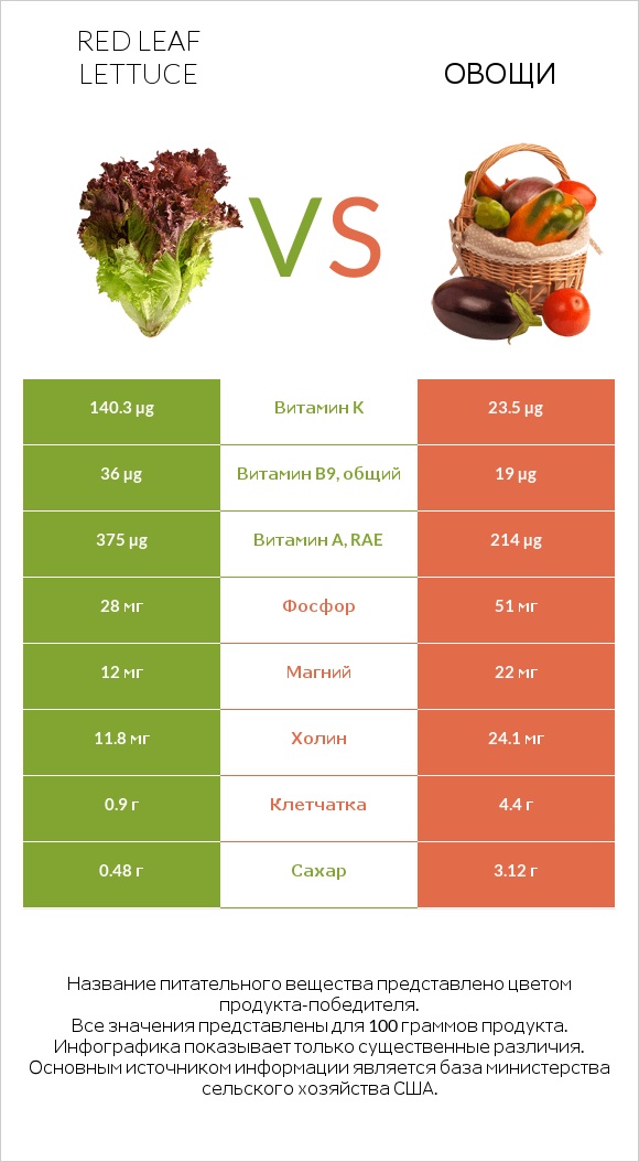 Red leaf lettuce vs Овощи infographic