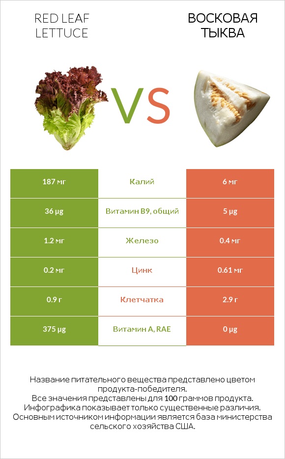 Red leaf lettuce vs Восковая тыква infographic