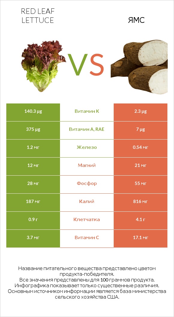 Red leaf lettuce vs Ямс infographic