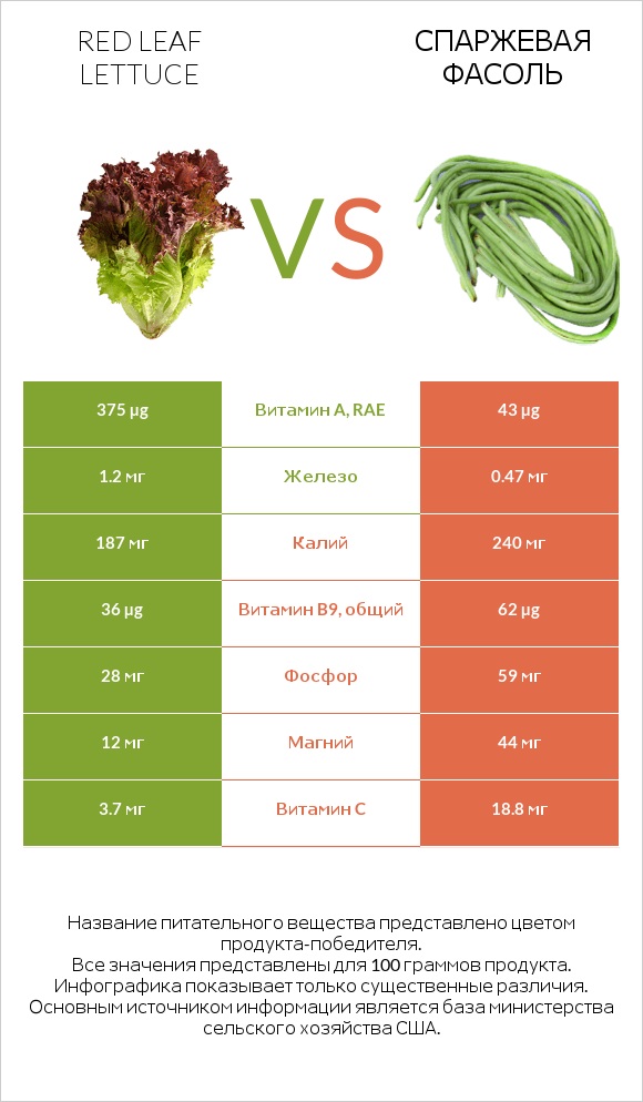 Red leaf lettuce vs Спаржевая фасоль infographic