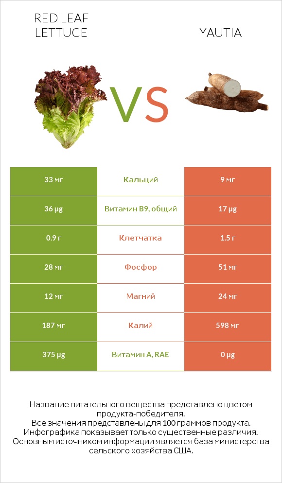Red leaf lettuce vs Yautia infographic
