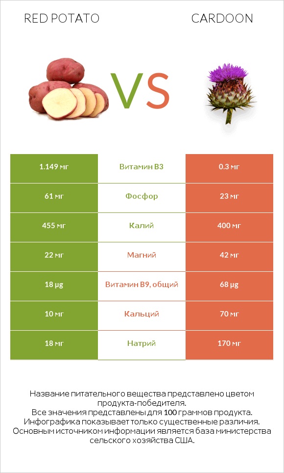 Red potato vs Cardoon infographic