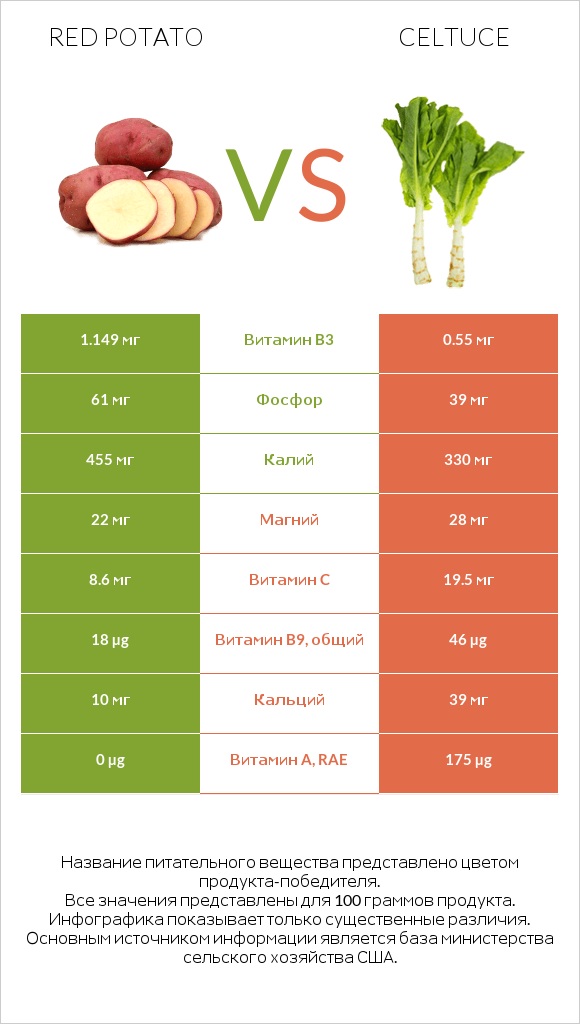 Red potato vs Celtuce infographic