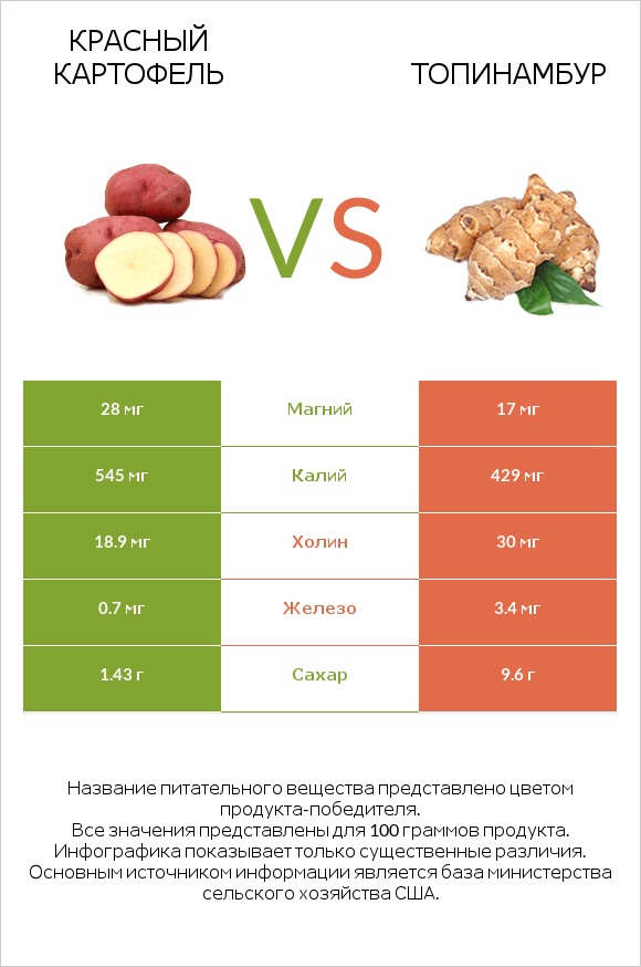 Красный картофель vs Топинамбур infographic