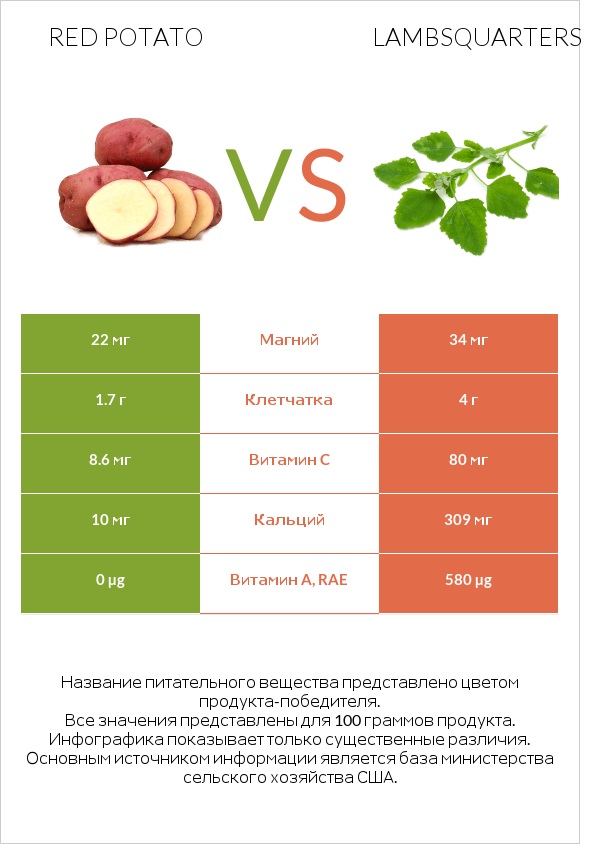 Red potato vs Lambsquarters infographic
