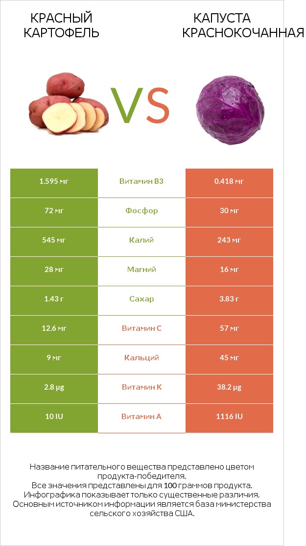 Красный картофель vs Капуста краснокочанная infographic