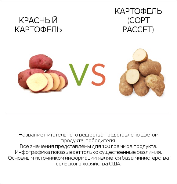 Red potato vs Russet potato infographic