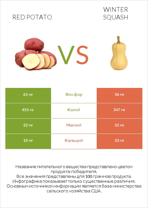 Red potato vs Winter squash infographic