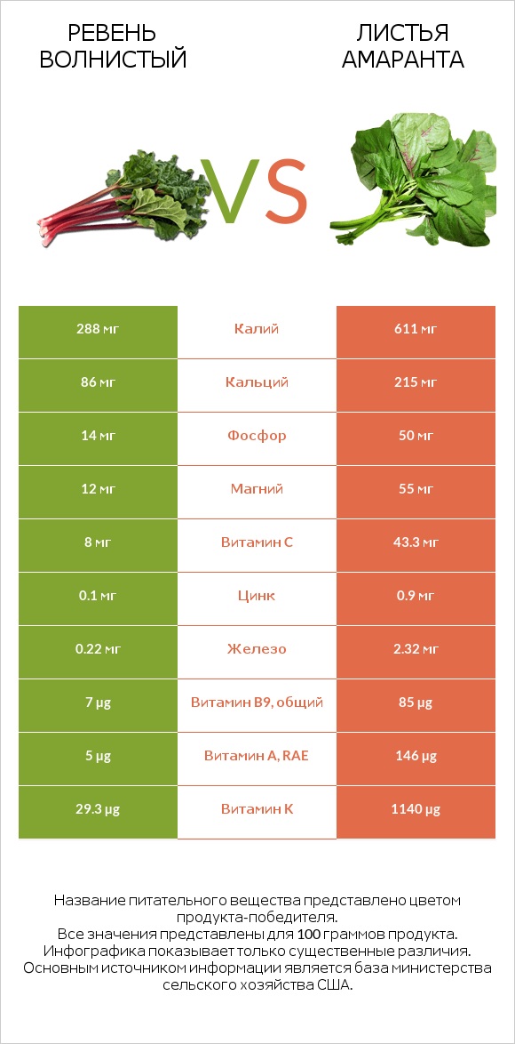 Ревень волнистый vs Листья амаранта infographic