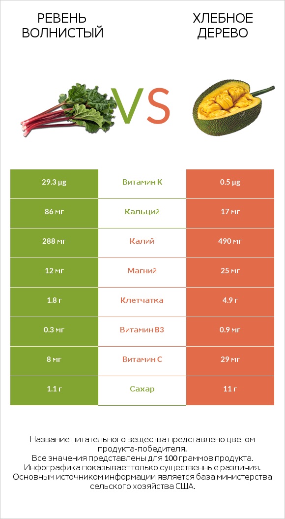 Ревень волнистый vs Хлебное дерево infographic