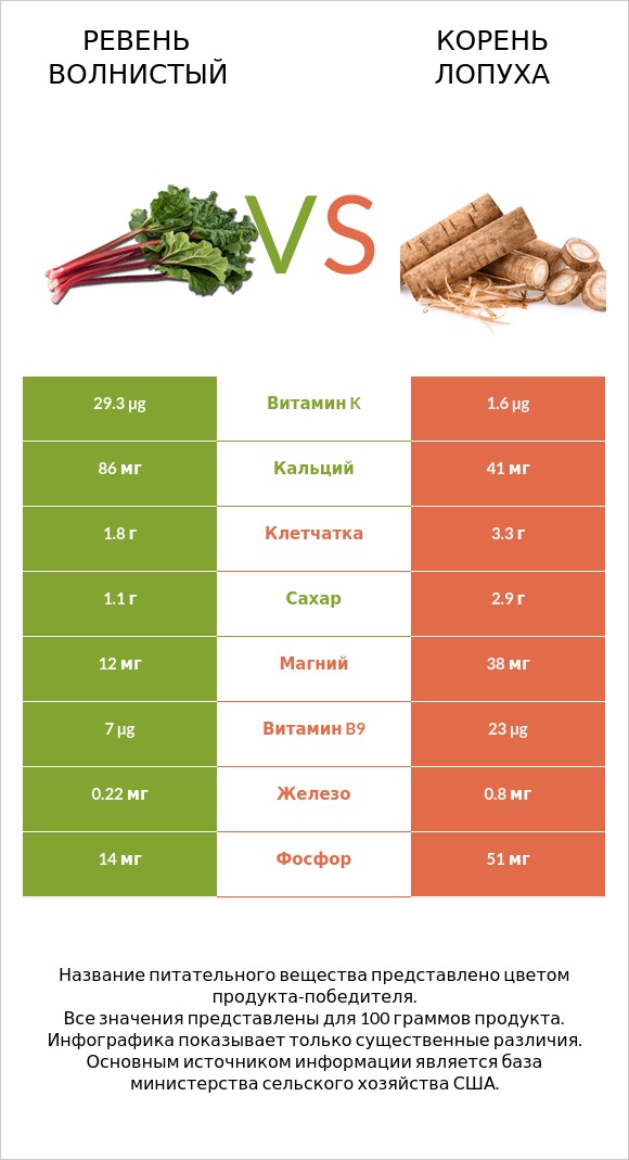 Ревень волнистый vs Корень лопуха infographic