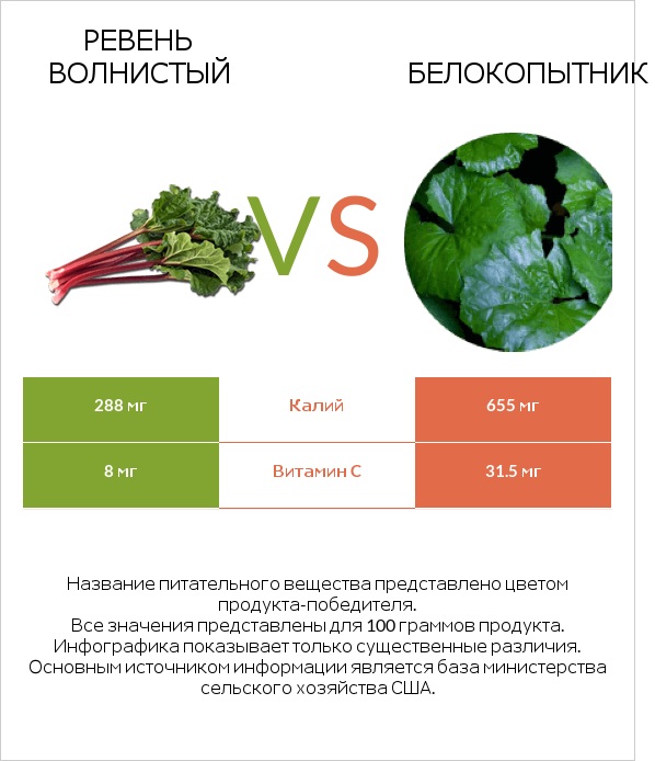 Ревень волнистый vs Белокопытник infographic