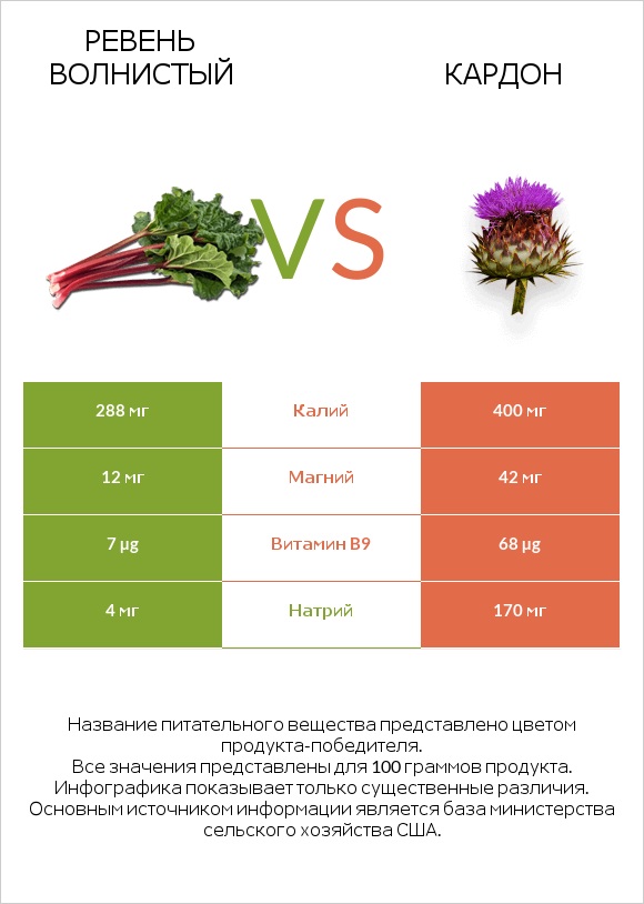 Ревень волнистый vs Кардон infographic