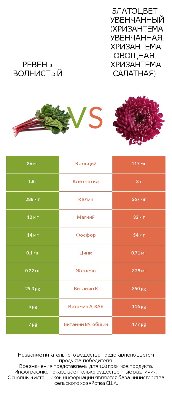 Ревень волнистый vs Златоцвет увенчанный (хризантема увенчанная, хризантема овощная, хризантема салатная) infographic